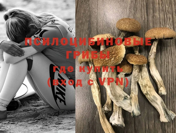 не бодяженный Липки